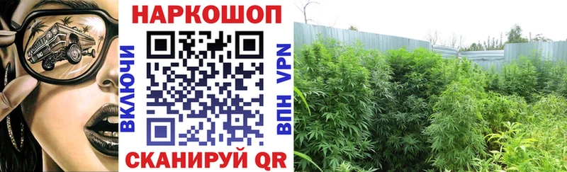 Как найти наркотики Жуковский АМФЕТАМИН Бошки Шишки Меф ГАШИШ