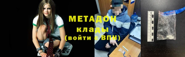 прущие грибы Алзамай