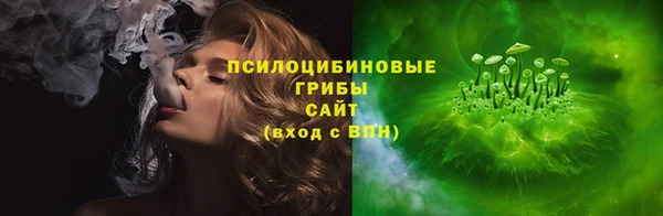 прущие грибы Алзамай