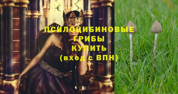 прущие грибы Алзамай
