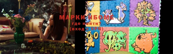 прущие грибы Алзамай