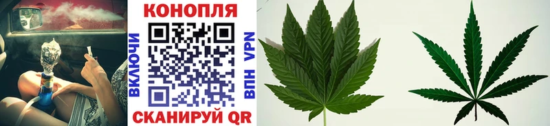 нарко площадка Telegram Жуковский Конопля LSD WEED